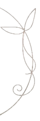 logo-ni (2) (1)